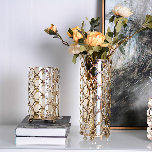 Hollow Out Glass Vase with Golden Metal Frame – Elegant Flower Arrangement & Home Décor